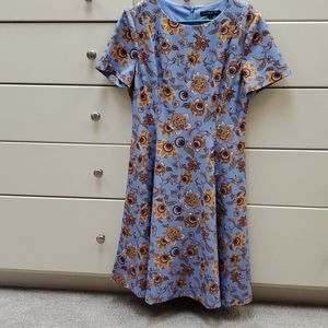 Never Worn vintage looking fit and flare